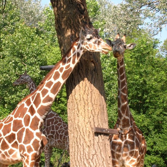 Meet your Posher, Karen - Picture 4 of 7